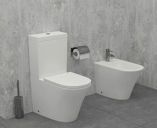 Чаша напольного унитаза Jacob Delafon Robin UJAB102-00 безободковая без сиденья Чаша напольного унитаза Jacob Delafon Robin UJAB102-00 безободковая без сиденья