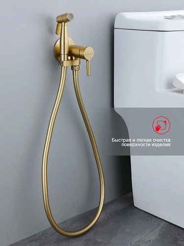 Гигиенический душ Raglo R20.54.03 встраиваемый, сатин золотой Гигиенический душ Raglo R20.54.03 встраиваемый, сатин золотой