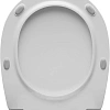 Крышка-сиденье Allen Brau Fantasy 4.11005.21 белый матовый Крышка-сиденье Allen Brau Fantasy 4.11005.21 белый матовый