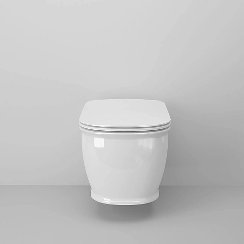 Унитаз подвесной Ambassador Royal 263K19002RS (520x360x345) безободковый с сиденьем Унитаз подвесной Ambassador Royal 263K19002RS (520x360x345) безободковый с сиденьем