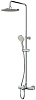 Душевой гарнитур AM.PM Gem F0790520