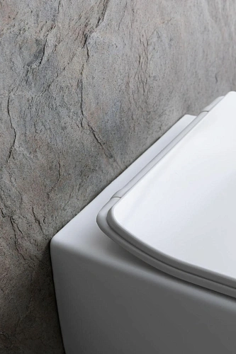 Унитаз подвесной Allen Brau Liberty 4.33007.21 с крышкой, белый матовый Унитаз подвесной Allen Brau Liberty 4.33007.21 с крышкой, белый матовый