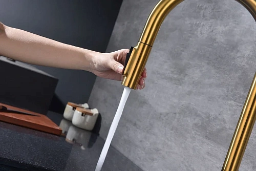 Смеситель для кухни Paulmark Universal брашированное золото Un213880-BG Смеситель для кухни Paulmark Universal брашированное золото Un213880-BG