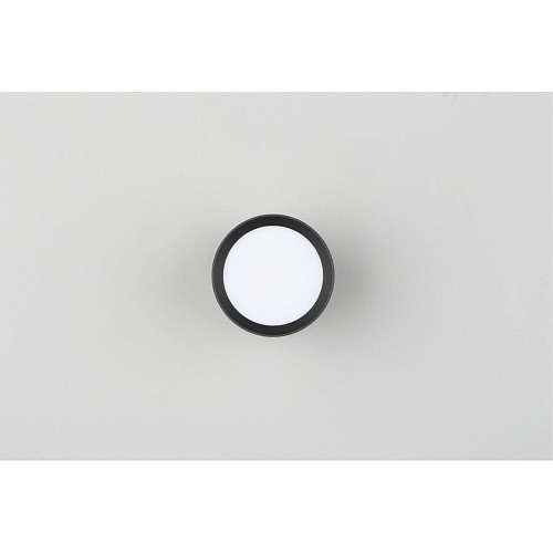 Светильник настенно-потолочный Omnilux Capurso OML-102439-05 Светильник настенно-потолочный Omnilux Capurso OML-102439-05