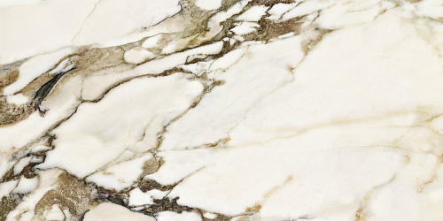 Керамогранит Neodom Ambassador Calacatta Venato Glossy 60x120 CV20218 Керамогранит Neodom Ambassador Calacatta Venato Glossy 60x120 CV20218