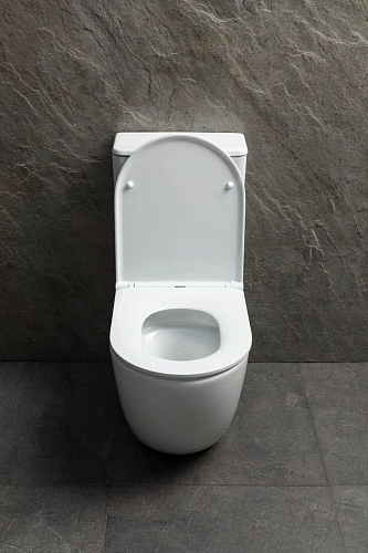 Чаша напольного унитаза Allen Brau Priority Tornado 4.31006.20 с крышкой, белый глянец Чаша напольного унитаза Allen Brau Priority Tornado 4.31006.20 с крышкой, белый глянец