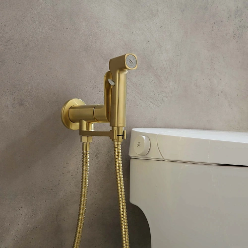 Гигиенический душ Aquatek АЛЬФА AQ1919BG шлифованное золото Гигиенический душ Aquatek АЛЬФА AQ1919BG шлифованное золото