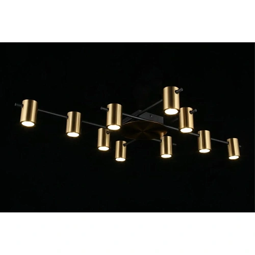 Люстра потолочная Aployt Elwisia APL.633.07.10 Люстра потолочная Aployt Elwisia APL.633.07.10