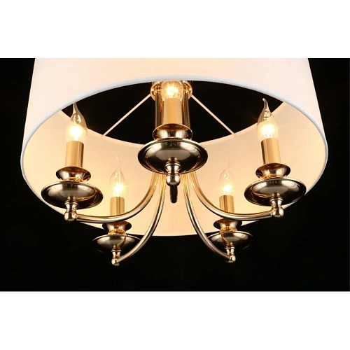 Светильник подвесной Aployt Berze APL.721.06.05 Светильник подвесной Aployt Berze APL.721.06.05