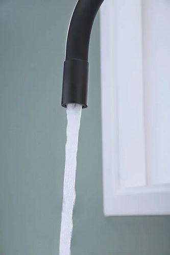 Смеситель для кухни Paulmark SALIX антрацит Sa213419-AN Смеситель для кухни Paulmark SALIX антрацит Sa213419-AN