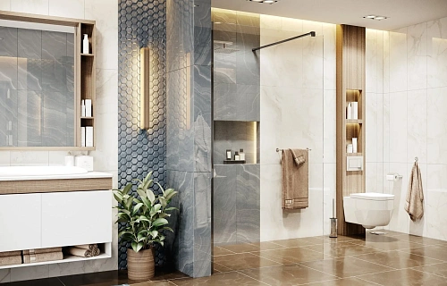 Душевая перегородка Ambassador Walk-in 15031109 (900x2000) Душевая перегородка Ambassador Walk-in 15031109 (900x2000)