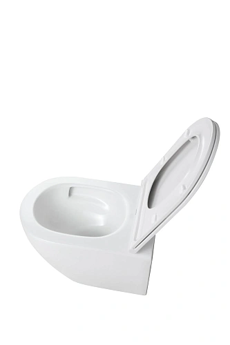 Унитаз подвесной Taliente Altamarea T3 AL65003 белый, с крышкой микролифт Унитаз подвесной Taliente Altamarea T3 AL65003 белый, с крышкой микролифт