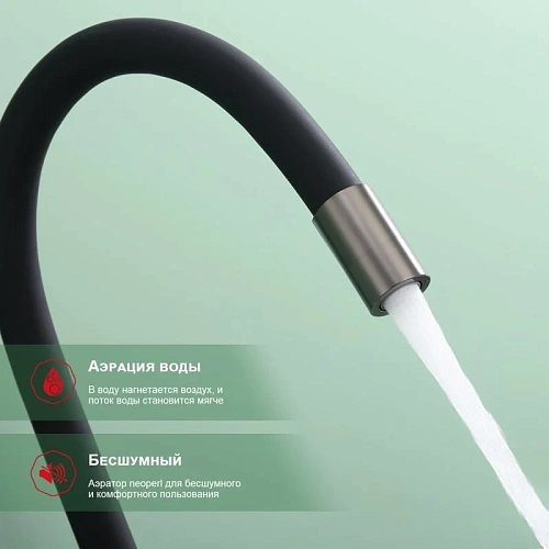 Смеситель для кухни Raglo R81.64.09 с гибким изливом с подключением к фильтру, графит Смеситель для кухни Raglo R81.64.09 с гибким изливом с подключением к фильтру, графит