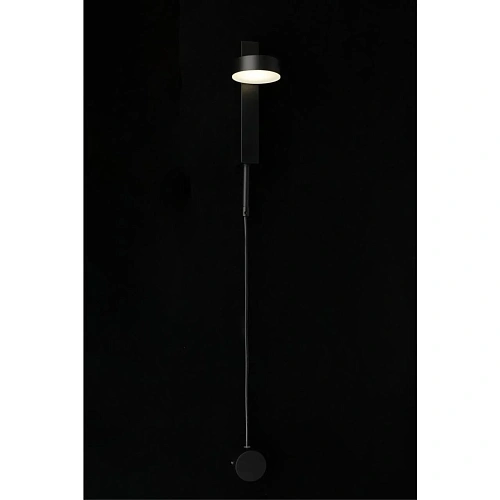 Светильник настенный (Бра) Aployt Aga APL.016.11.07 Светильник настенный (Бра) Aployt Aga APL.016.11.07