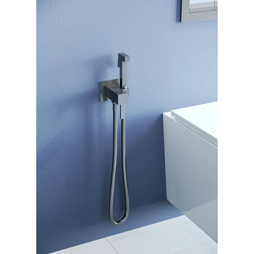 Гигиенический душ RGW Shower Panels SP-212Gr серый brush Гигиенический душ RGW Shower Panels SP-212Gr серый brush