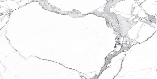 Керамогранит Neodom Matt Statuario Classico Satin 60x120 N20377 Керамогранит Neodom Matt Statuario Classico Satin 60x120 N20377