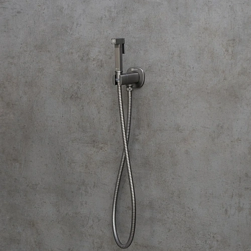 Гигиенический душ Lemark Solo LM7172GM, встраиваемый, графит Гигиенический душ Lemark Solo LM7172GM, встраиваемый, графит