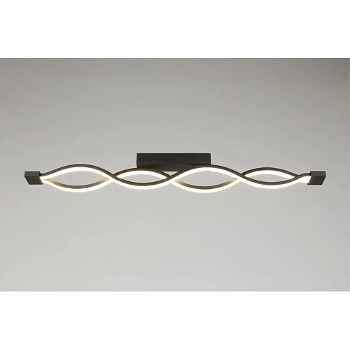 Светильник настенно-потолочный Aployt Nadayn APL.002.12.36 Светильник настенно-потолочный Aployt Nadayn APL.002.12.36