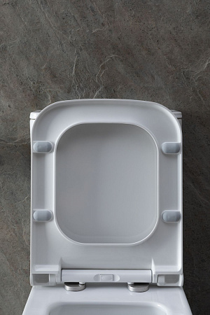 Чаша напольного унитаза Allen Brau Infinity 4.21012.20 с крышкой, белый глянец