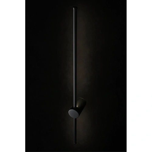 Светильник настенный (Бра) Aployt Gabi APL.0124.01.12 Светильник настенный (Бра) Aployt Gabi APL.0124.01.12