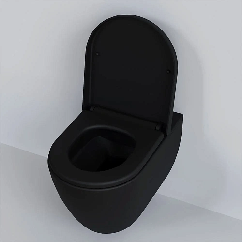 Крышка-сиденье Ambassador Queen 112T20201 (толстое) черное матовое Крышка-сиденье Ambassador Queen 112T20201 (толстое) черное матовое