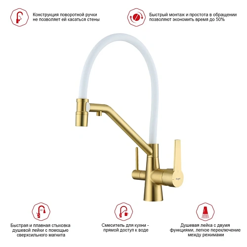 Смеситель для кухни Raglo R80.62.03 с гибким изливом с подключением к фильтру, золотой сатин Смеситель для кухни Raglo R80.62.03 с гибким изливом с подключением к фильтру, золотой сатин