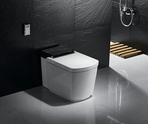 Унитаз SMART Orans IT-803JAD 803JAD0 с сиденьем Унитаз SMART Orans IT-803JAD 803JAD0 с сиденьем