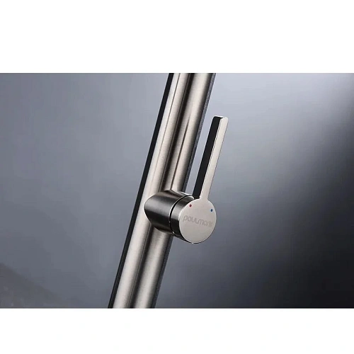 Смеситель для кухни Paulmark LEADER брашированная сталь Le214101-BS Смеситель для кухни Paulmark LEADER брашированная сталь Le214101-BS