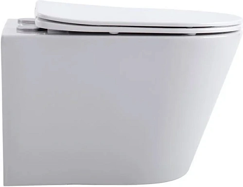 Унитаз подвесной Aquanet Rimless Atago 2.0 W LX-1905 00243549 с крышкой микролифт Унитаз подвесной Aquanet Rimless Atago 2.0 W LX-1905 00243549 с крышкой микролифт