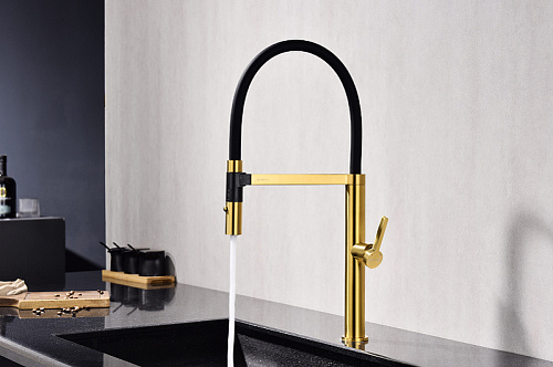 Смеситель для кухни Paulmark Leader брашированное золото Le214101-BG Смеситель для кухни Paulmark Leader брашированное золото Le214101-BG