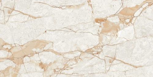 Керамогранит Neodom Ambassador Rosalia Glossy 60x120 CV20196 Керамогранит Neodom Ambassador Rosalia Glossy 60x120 CV20196