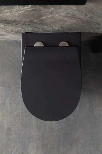 Унитаз подвесной Allen Brau Reality 4.32006.31 с крышкой, черный матовый Унитаз подвесной Allen Brau Reality 4.32006.31 с крышкой, черный матовый