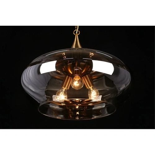 Светильник подвесной Aployt Franko APL.601.16.03 Светильник подвесной Aployt Franko APL.601.16.03