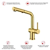 Смеситель для кухни Raglo R86.49.03 с выдвижным изливом, золотой сатин Смеситель для кухни Raglo R86.49.03 с выдвижным изливом, золотой сатин