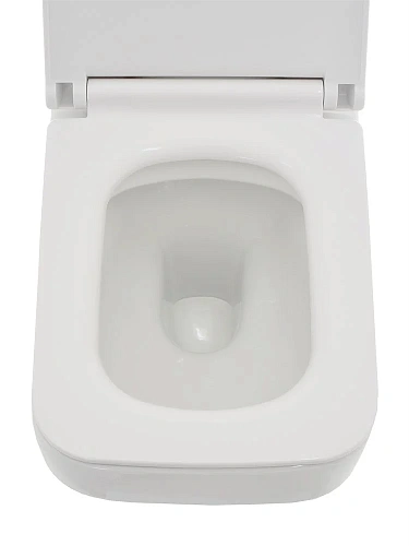 Унитаз подвесной AQUAme AQM2009 с сиденьем SoftClose, технология смыва Rimless, скрытый крепеж 525х3 Унитаз подвесной AQUAme AQM2009 с сиденьем SoftClose, технология смыва Rimless, скрытый крепеж 525х3