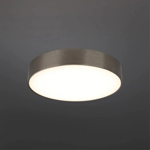 Светильник настенно-потолочный Aployt Evon APL.0114.19.24 Светильник настенно-потолочный Aployt Evon APL.0114.19.24