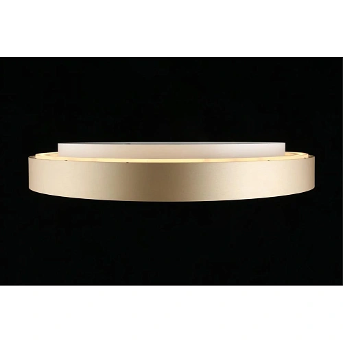 Светильник настенно-потолочный Aployt Virzhini APL.023.07.68 Светильник настенно-потолочный Aployt Virzhini APL.023.07.68