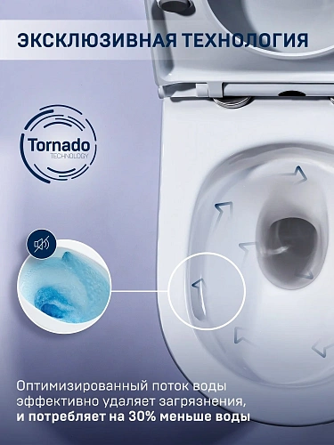 Унитаз подвесной CHARUS ESTELLA TORNADO EWC700-121WТ безободковый c легкосъемным сиденьем микролифт Унитаз подвесной CHARUS ESTELLA TORNADO EWC700-121WТ безободковый c легкосъемным сиденьем микролифт