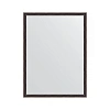 Зеркало в багетной раме Evoform Definite BY 0641 58 x 78 см, витой махагон