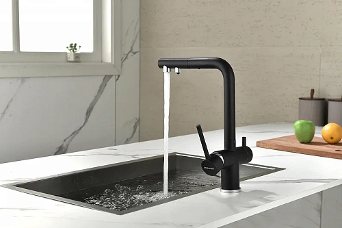 Смеситель для кухни Paulmark SERPENTINE черный Se213222-BLM Смеситель для кухни Paulmark SERPENTINE черный Se213222-BLM
