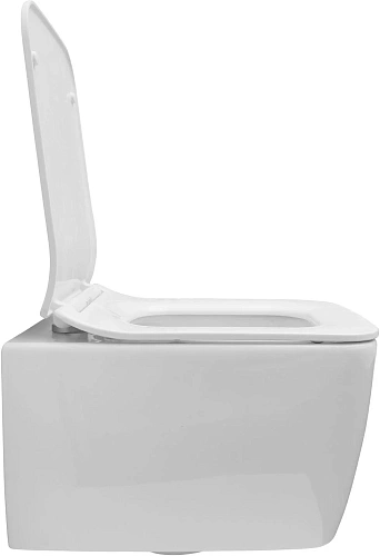 Унитаз подвесной Allen Brau Liberty 4.33007.20 с крышкой, белый Унитаз подвесной Allen Brau Liberty 4.33007.20 с крышкой, белый