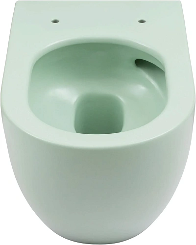 Унитаз подвесной Allen Brau Reality 4.32015.MT сиденье с микролифт мятный Унитаз подвесной Allen Brau Reality 4.32015.MT сиденье с микролифт мятный