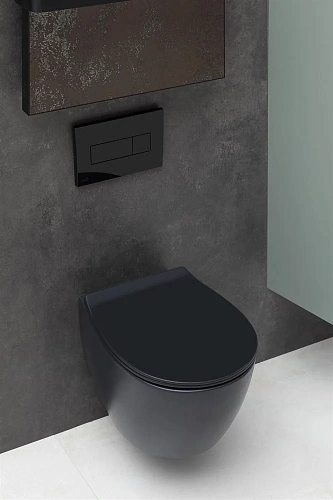 Унитаз подвесной Allen Brau Fantasy 4.11004.31 без сиденья Унитаз подвесной Allen Brau Fantasy 4.11004.31 без сиденья