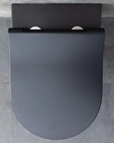Унитаз подвесной Allen Brau Priority 4.31001.31 с крышкой, черный матовый Унитаз подвесной Allen Brau Priority 4.31001.31 с крышкой, черный матовый