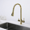 Смеситель для кухни Paulmark Lange золото La214212-G Смеситель для кухни Paulmark Lange золото La214212-G