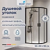 Душевой уголок RGW PA-52B 900x900 мм 03085299-14 черный Easy Clean