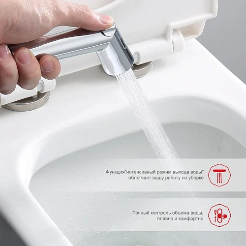 Гигиенический душ Raglo R23.56 встраиваемый с термостатом, хром Гигиенический душ Raglo R23.56 встраиваемый с термостатом, хром