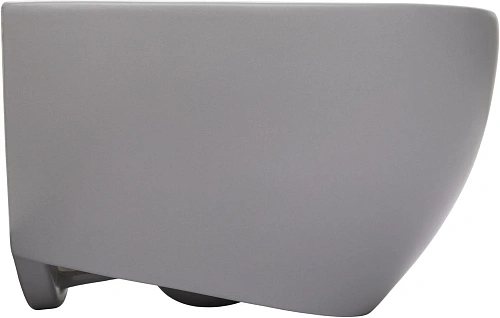 Унитаз подвесной Allen Brau Reality 4.32015.SG сиденье с микролифт серый матовый Унитаз подвесной Allen Brau Reality 4.32015.SG сиденье с микролифт серый матовый