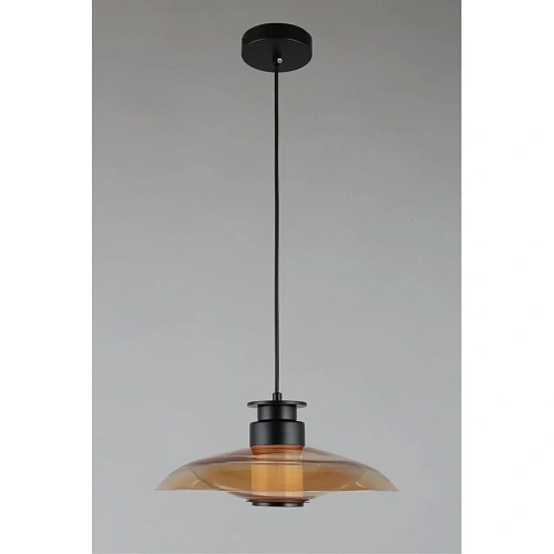 Светильник подвесной Aployt Stefa APL.648.16.10 Светильник подвесной Aployt Stefa APL.648.16.10