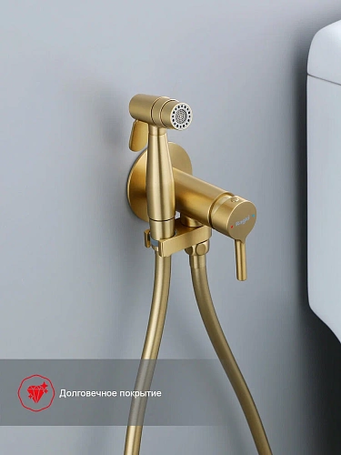 Гигиенический душ Raglo R20.54.03 встраиваемый, сатин золотой Гигиенический душ Raglo R20.54.03 встраиваемый, сатин золотой